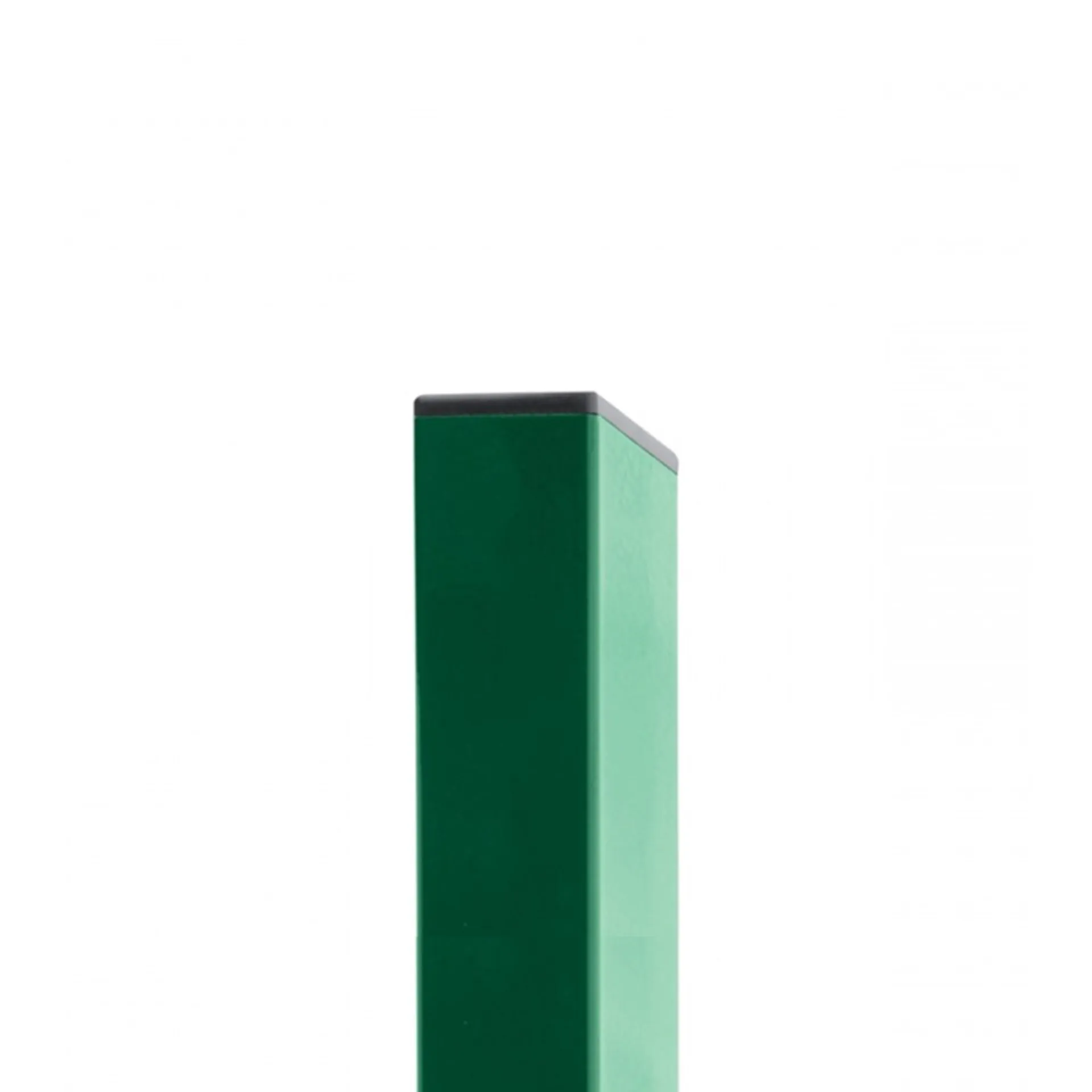 1 3 Ver