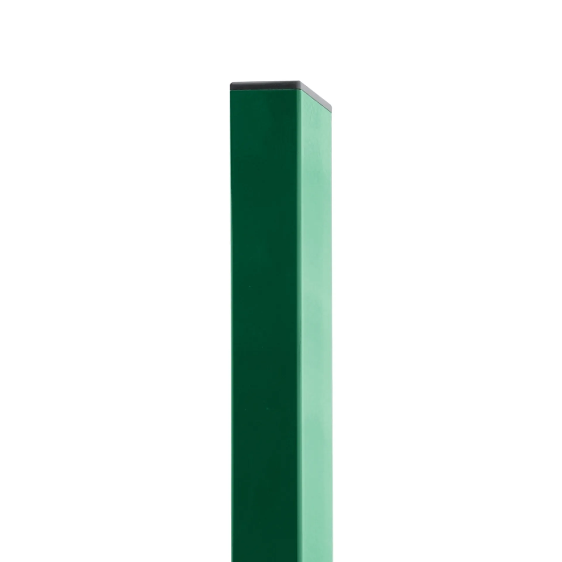 831 8595068400180