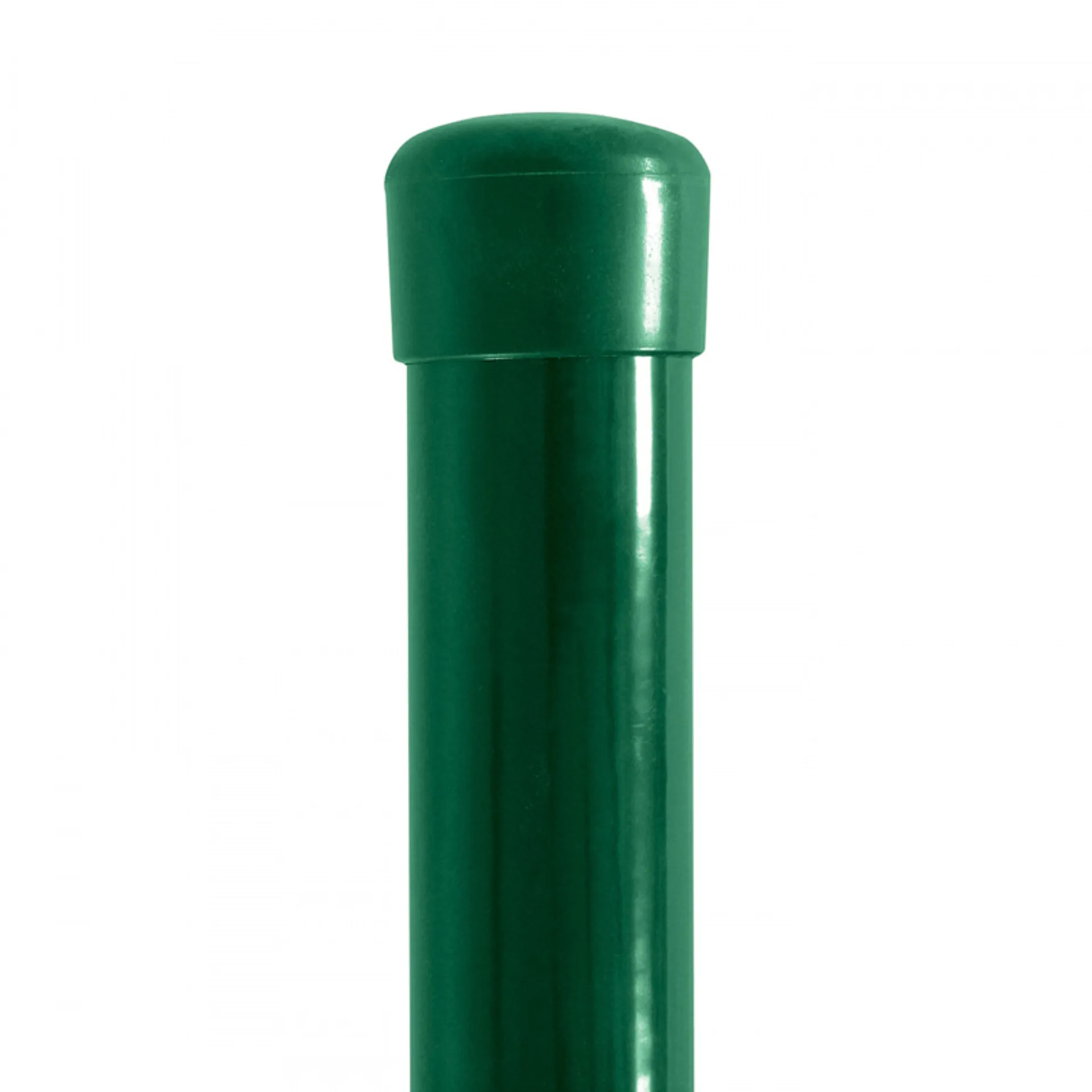 5 48 Verde