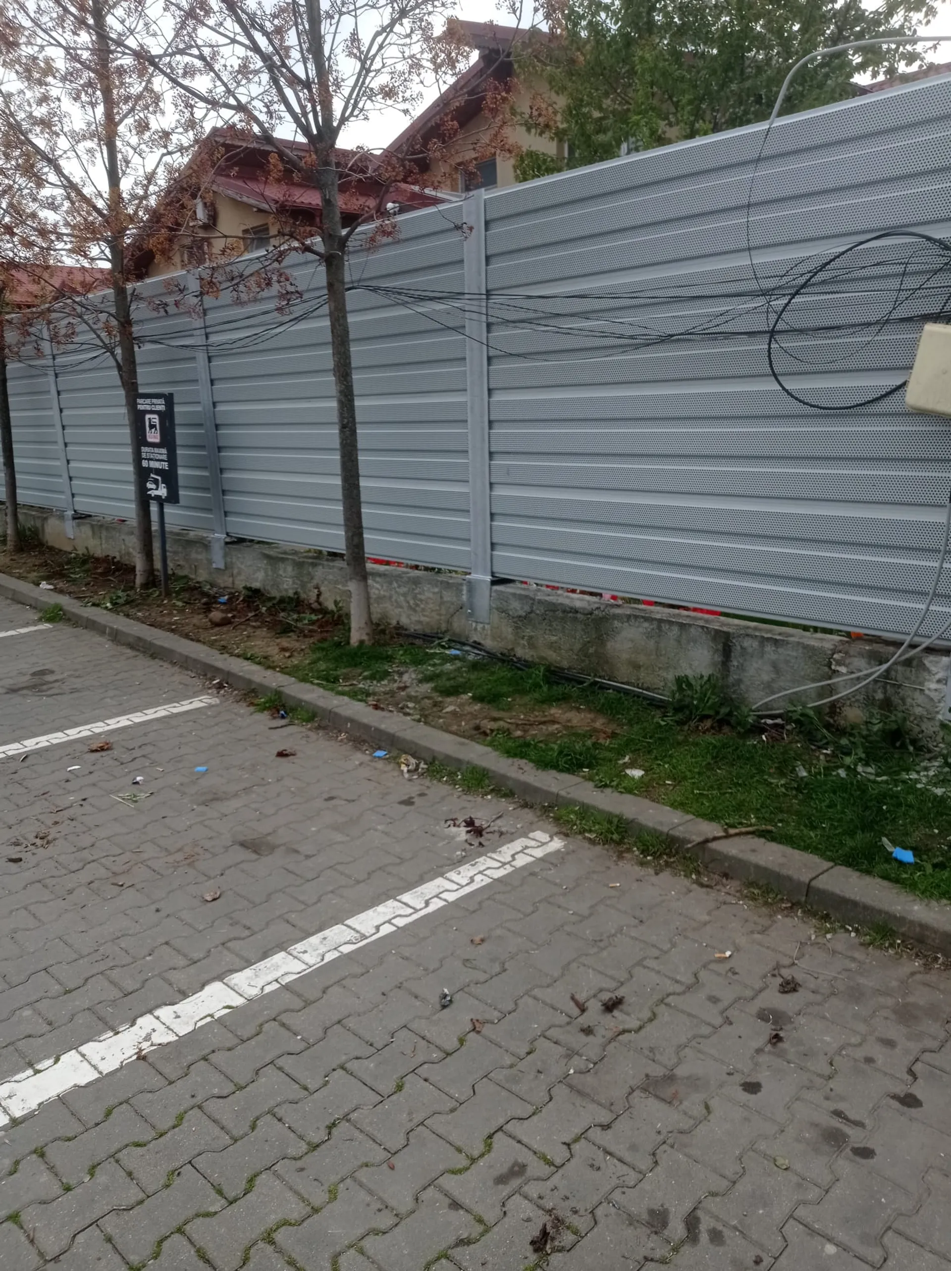 Whats App Image 2025 07 04 at 14.02.47